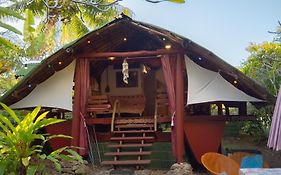 La Pirogue chez l'Happy qui chante